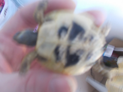 DSCN0749.JPG