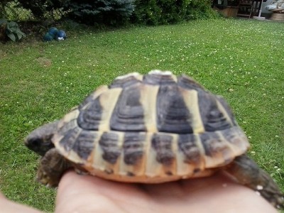 2014-07-15 14.30.14.jpg