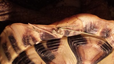 20151001_182712.jpg
