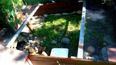 IMG_20160515_211102.JPG
