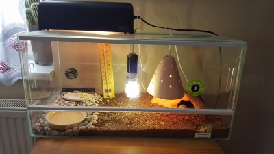 20170202_100224.jpg